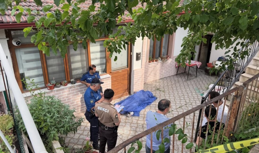KARABÜK’TE DUT TOPLAMAK İÇİN AĞACI SİLKELEDİĞİ SIRADA FENALAŞTIĞI DEĞERLENDİRİLEN 60