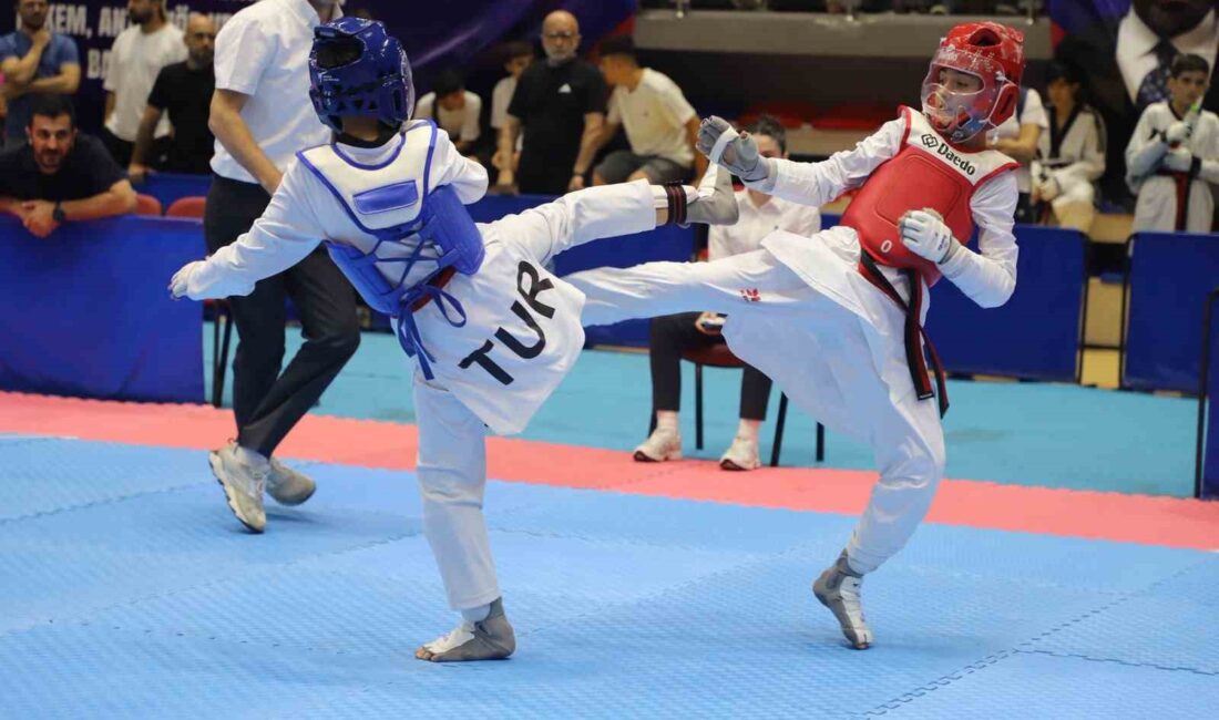 ANADOLU YILDIZLAR LİGİ (ANALİG) TAEKWONDO TÜRKİYE ŞAMPİYONASI, KARABÜK’TE DÜZENLENEN AÇILIŞ