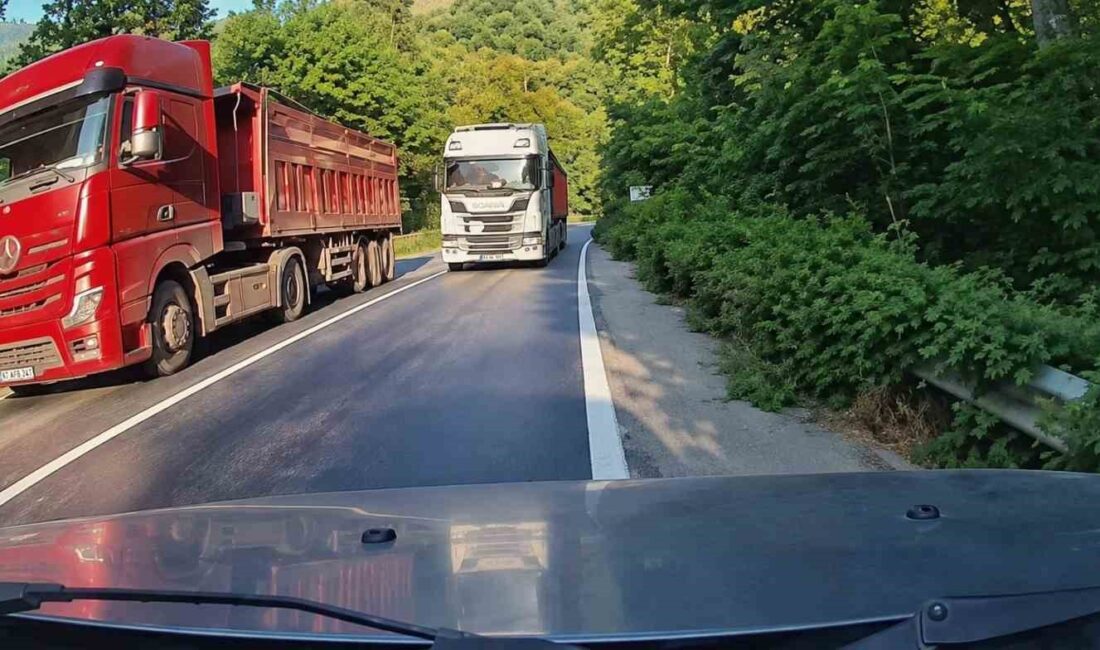 Cinayete teşebbüs gibi hatalı sollama kamerada KARABÜK’TE HATALI SOLLAMA YAPAN KAMYONUN KARŞI YÖNDEN GELEN OTOMOBİLE ÇARPMASINA