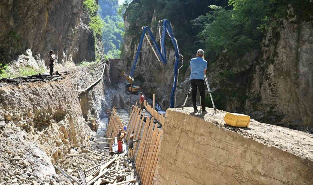 KARABÜK'ÜN YENİCE İLÇESİNDE BULUNAN ŞEKER
