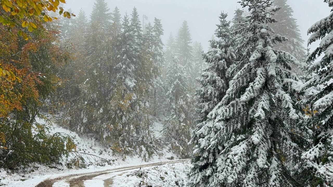 Safranbolu ilçesinde 1700 rakımlı Ömür Ahmet Kıran mevkiinde etkili olan