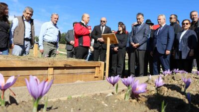 KARABÜK TARIM VE ORMAN İL MÜDÜRLÜĞÜ TARAFINDAN GELİŞTİRİLEN 